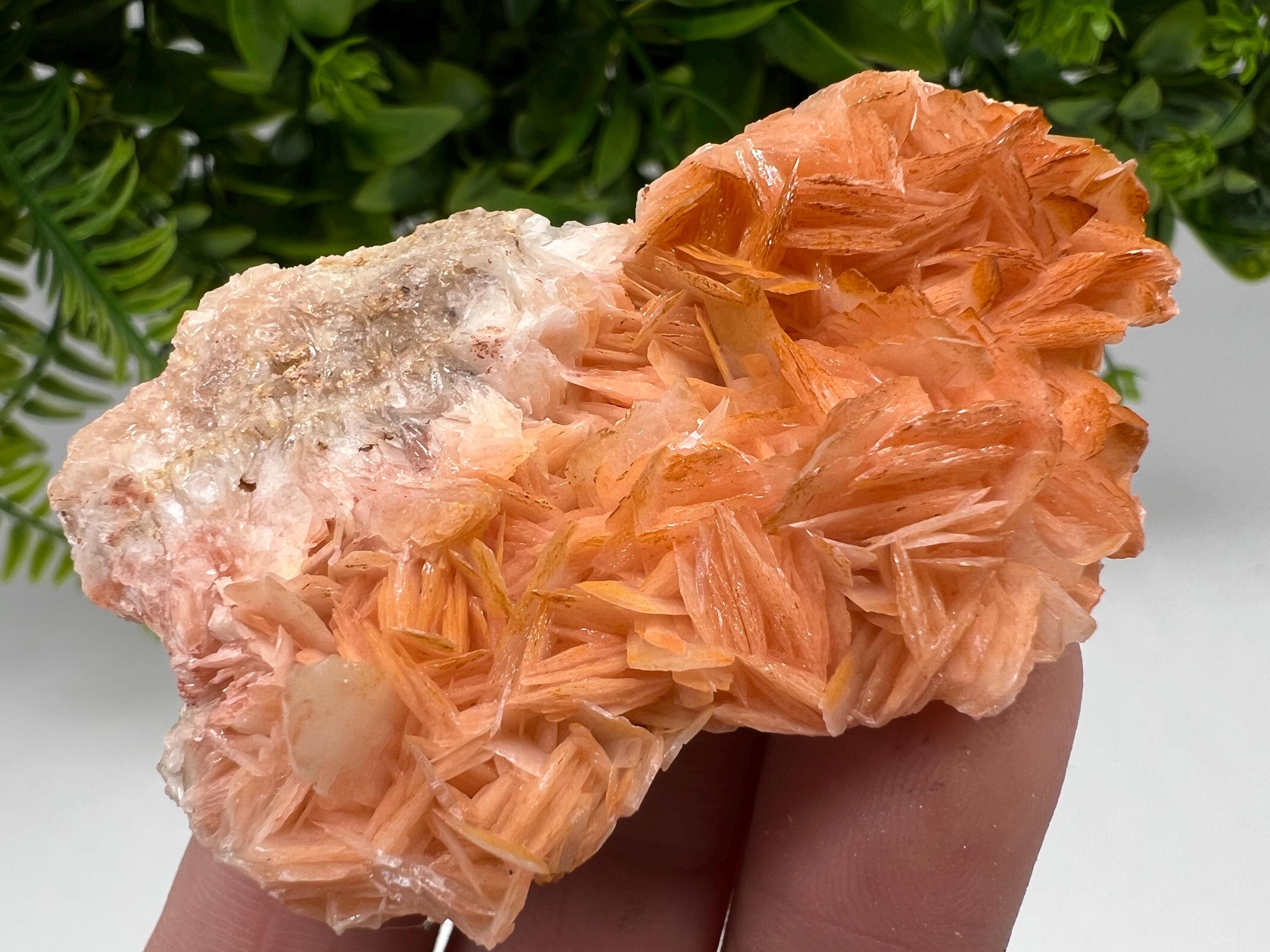 Wonderful Baryte with Cerussite on Galena from Morocco,Crystal, Mineral,Specimen,Cluster,Crystals,Barite Crystal,Cerussite Crystal,Specimen