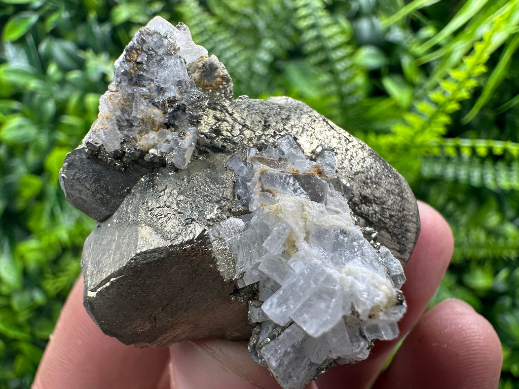 Rare Structure Pyrite (Marcazite) Mineral Specimen