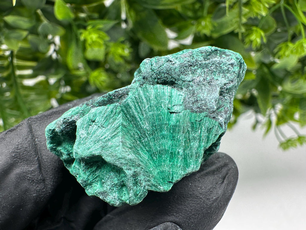 Malachite Crystal from Congo,Minerals,Crystals from Congo,Green Malachite, Malachite,Natural Malachite,Malachite Stone,Chakra, Specimens