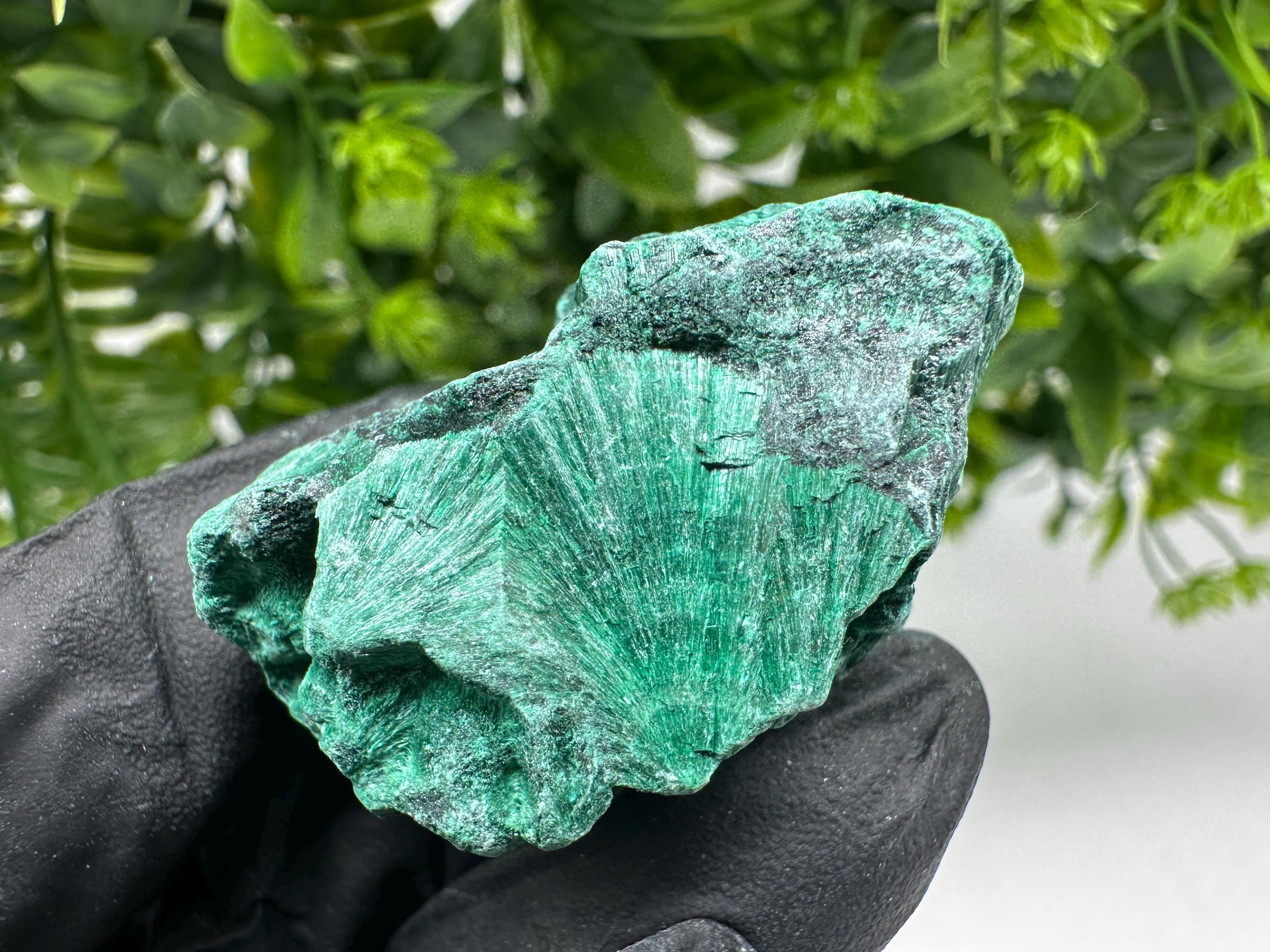 Malachite Crystal from Congo,Minerals,Crystals from Congo,Green Malachite, Malachite,Natural Malachite,Malachite Stone,Chakra, Specimens