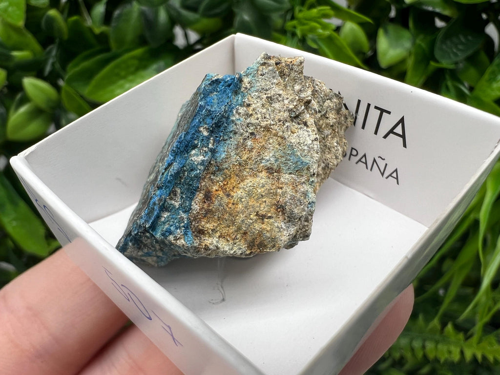 Rare Raw Aerinite Mineral Specimen: Lleida, Spain Collection Crystal
