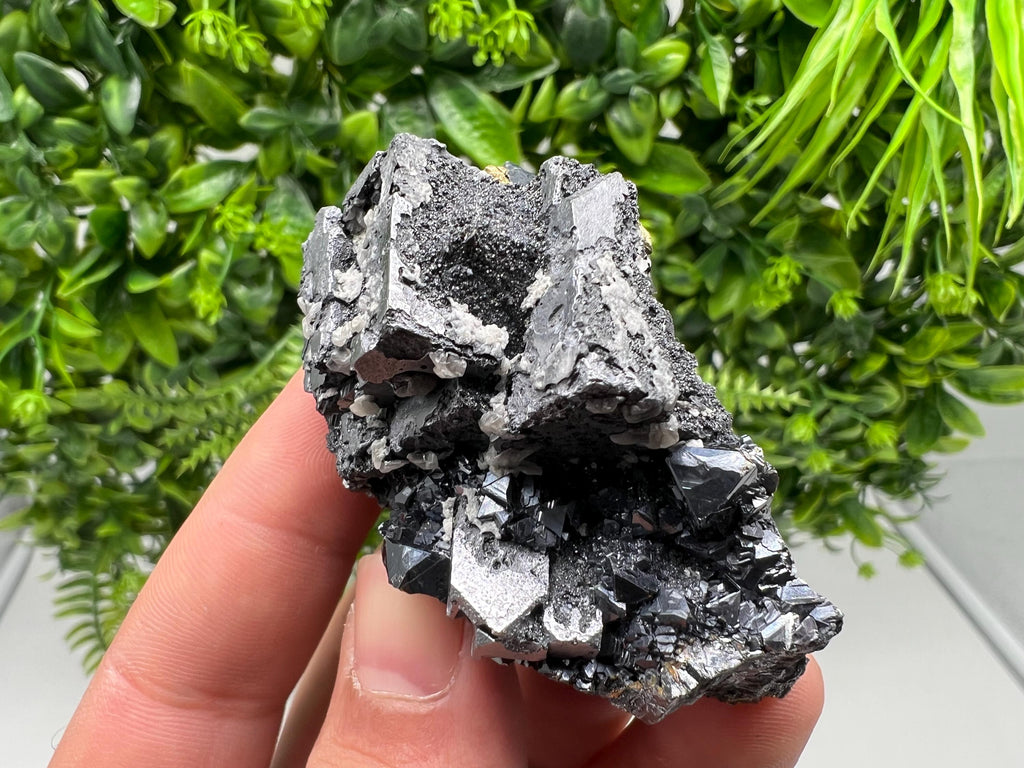 Aesthetic Natural shiny Galena whit Siderite and Quartz from 9 th September mine,Bulgaria,collection specimen,rare galena,Galena cluster
