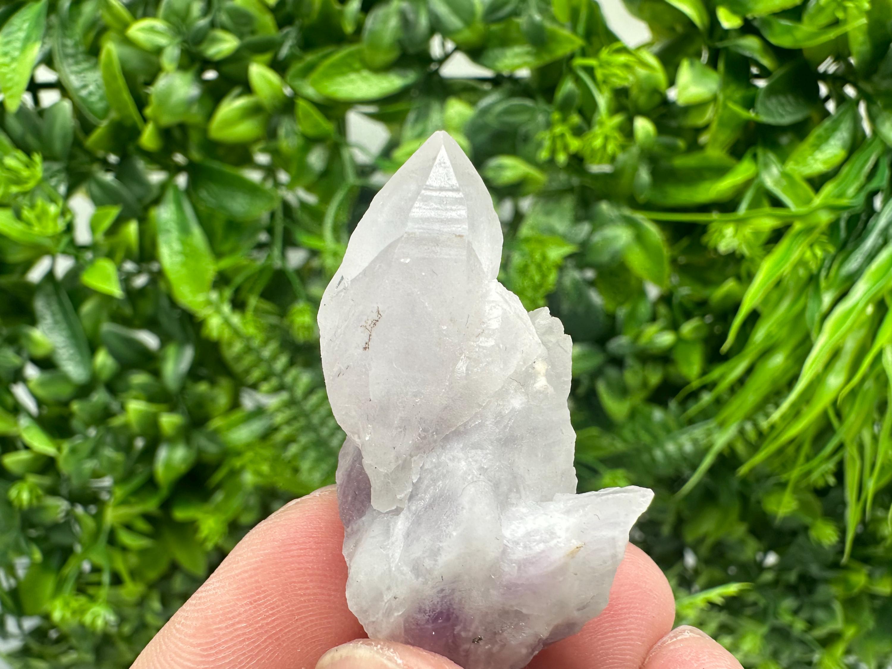 Amethyst Phantom Quartz Crystal: Chalcedony Chlorite Inclusions