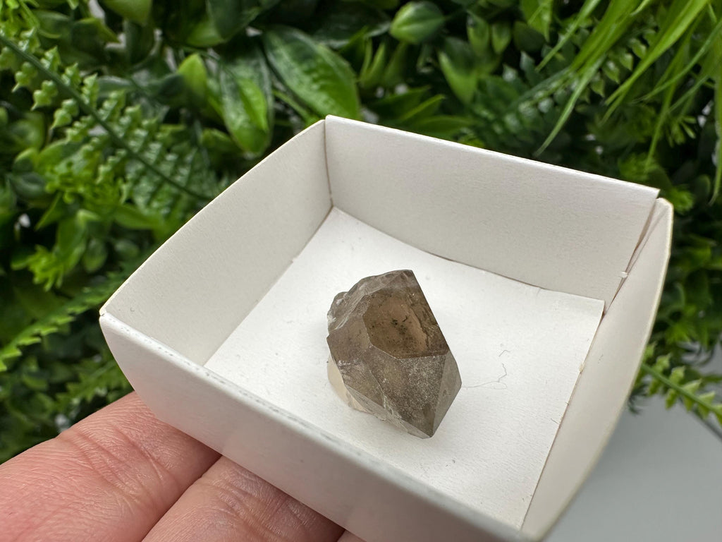 Rare Fedenstock Smoky Quartz Point, Swiss Mineral Specimen (30MM)