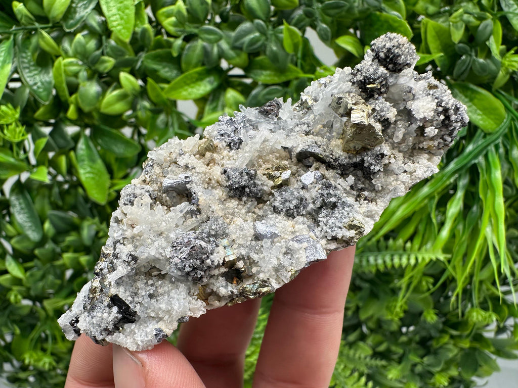Chalcopyrite Galena on Quartz with Chlorite, Borieva Mine