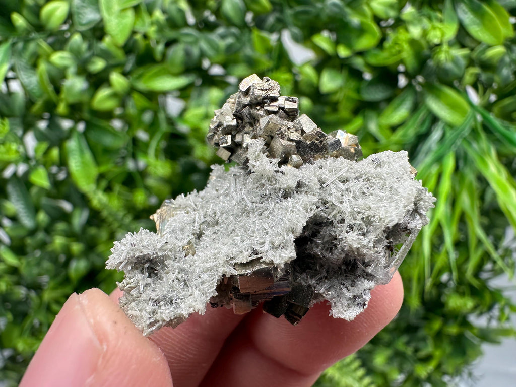 Pyrite on Green Quartz, Borieva Mine Mineral Specimen, Home Decor Stone