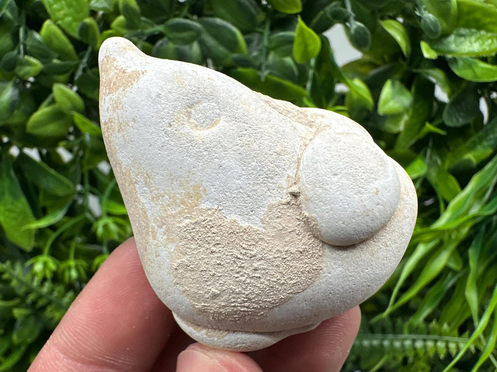 Menalite Crystal: White Fairy Stone, Moroccan A+ Grade