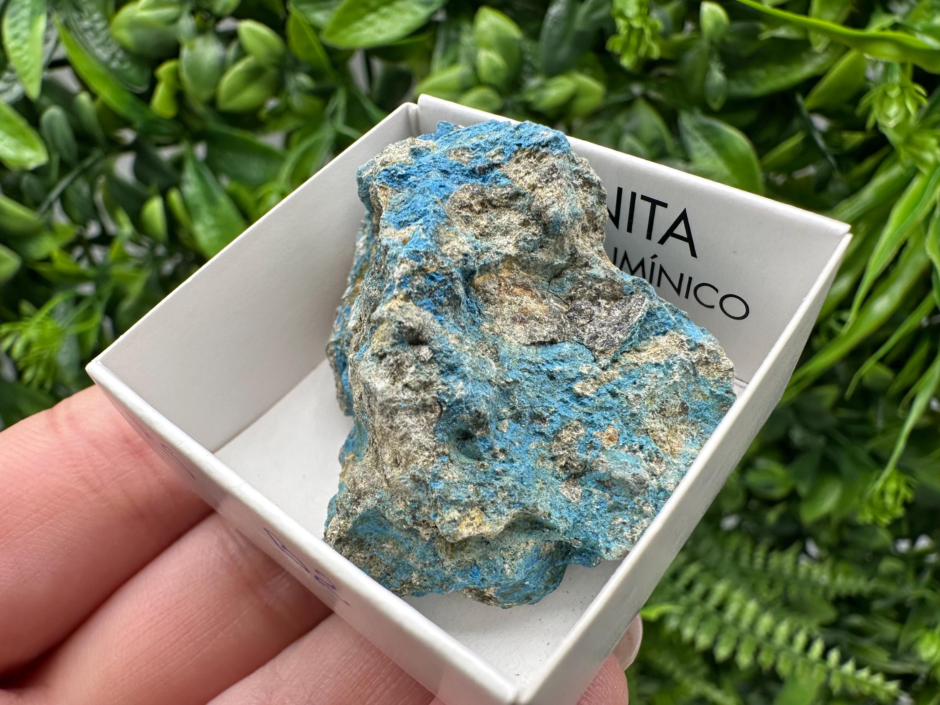 Rare Raw Aerinite Mineral Specimen: Lleida, Spain Crystal