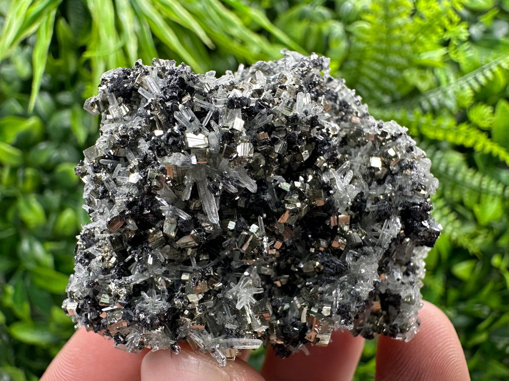 Pyrite on Quartz Needles, Borieva Mine Bulgaria, Mineral Specimen