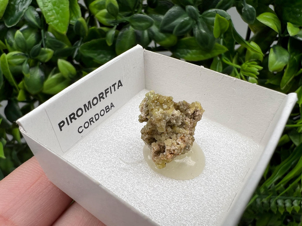 Pyromorphite Stone / Pyromorphite on Matrix / Pyromorphite Crystal / Raw Crystal / Pyromorphite Cluster / Rough Pyromorphite / Pyromorphite
