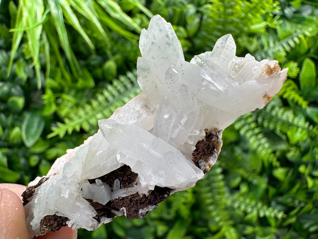 Quartz with Chlorite, Rhodochrosite, and Siderite Mineral Specimen