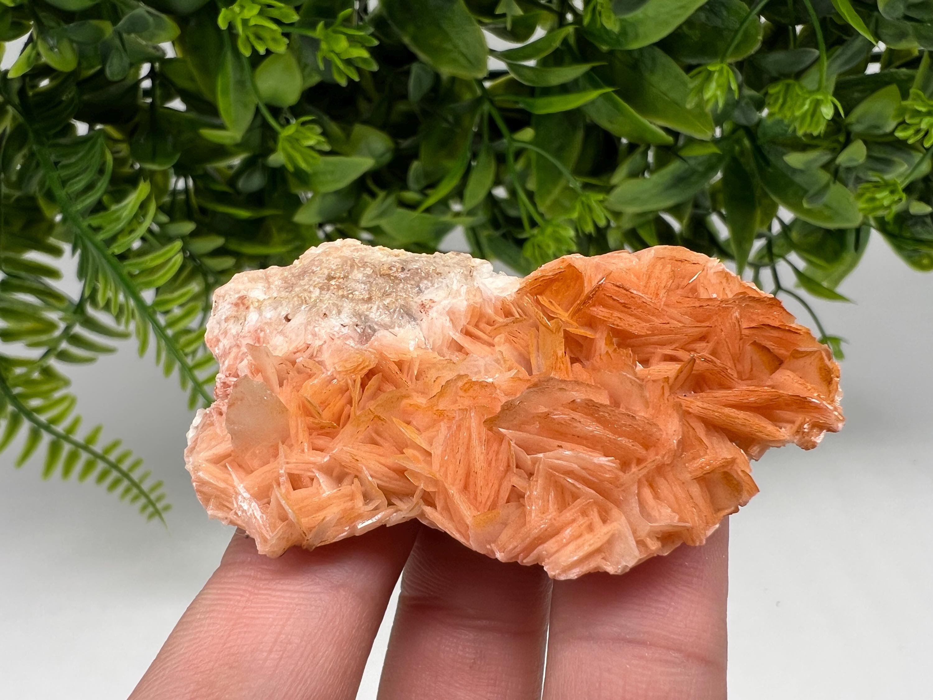 Wonderful Baryte with Cerussite on Galena from Morocco,Crystal, Mineral,Specimen,Cluster,Crystals,Barite Crystal,Cerussite Crystal,Specimen