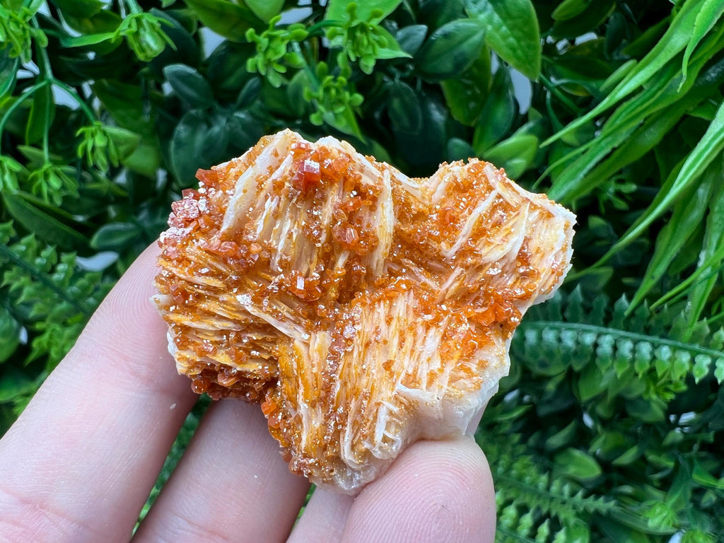 Red Vanadinite on Barite from Marocco,crystal minerals Speciment cluster Vanadinite crystal Vanadinite Geology Vanadinite cluster minerals