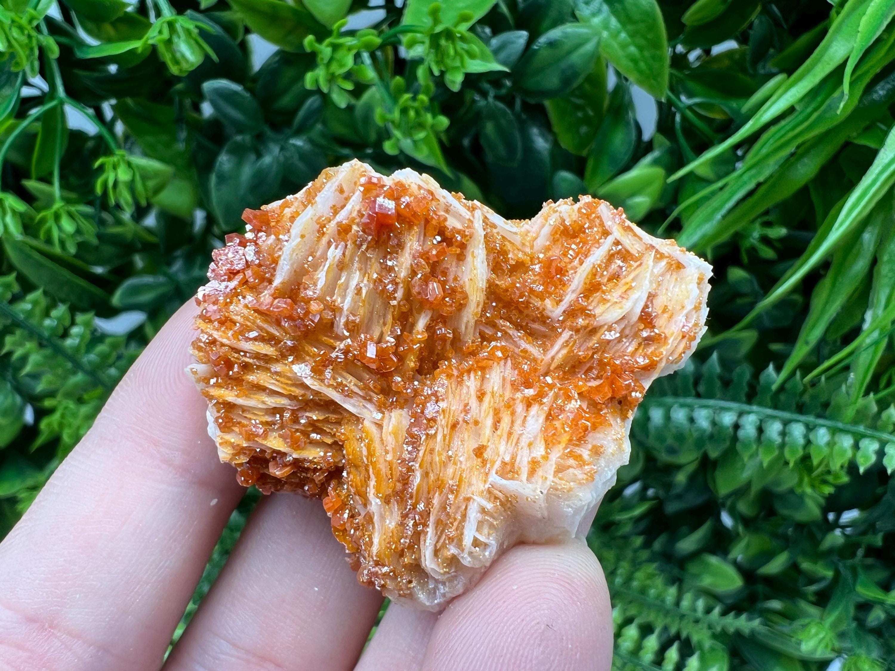 Red Vanadinite on Barite from Marocco,crystal minerals Speciment cluster Vanadinite crystal Vanadinite Geology Vanadinite cluster minerals