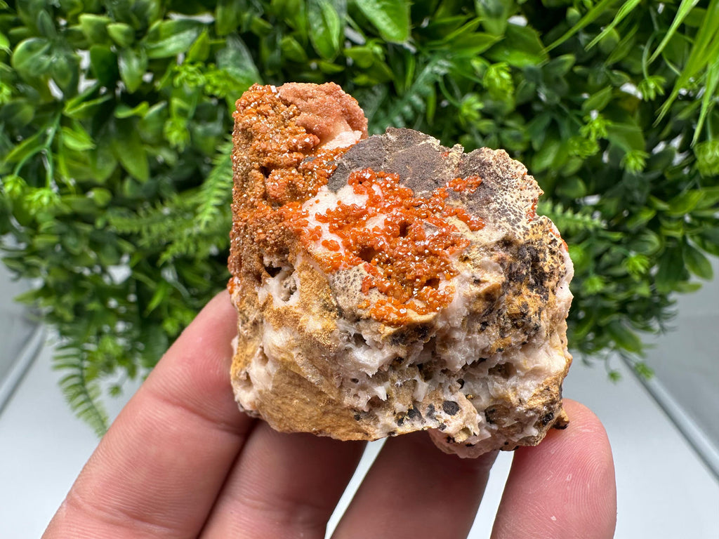Red Vanadinite on Barite from Marocco,crystal minerals Speciment cluster Vanadinite crystal Vanadinite Geology Vanadinite cluster minerals