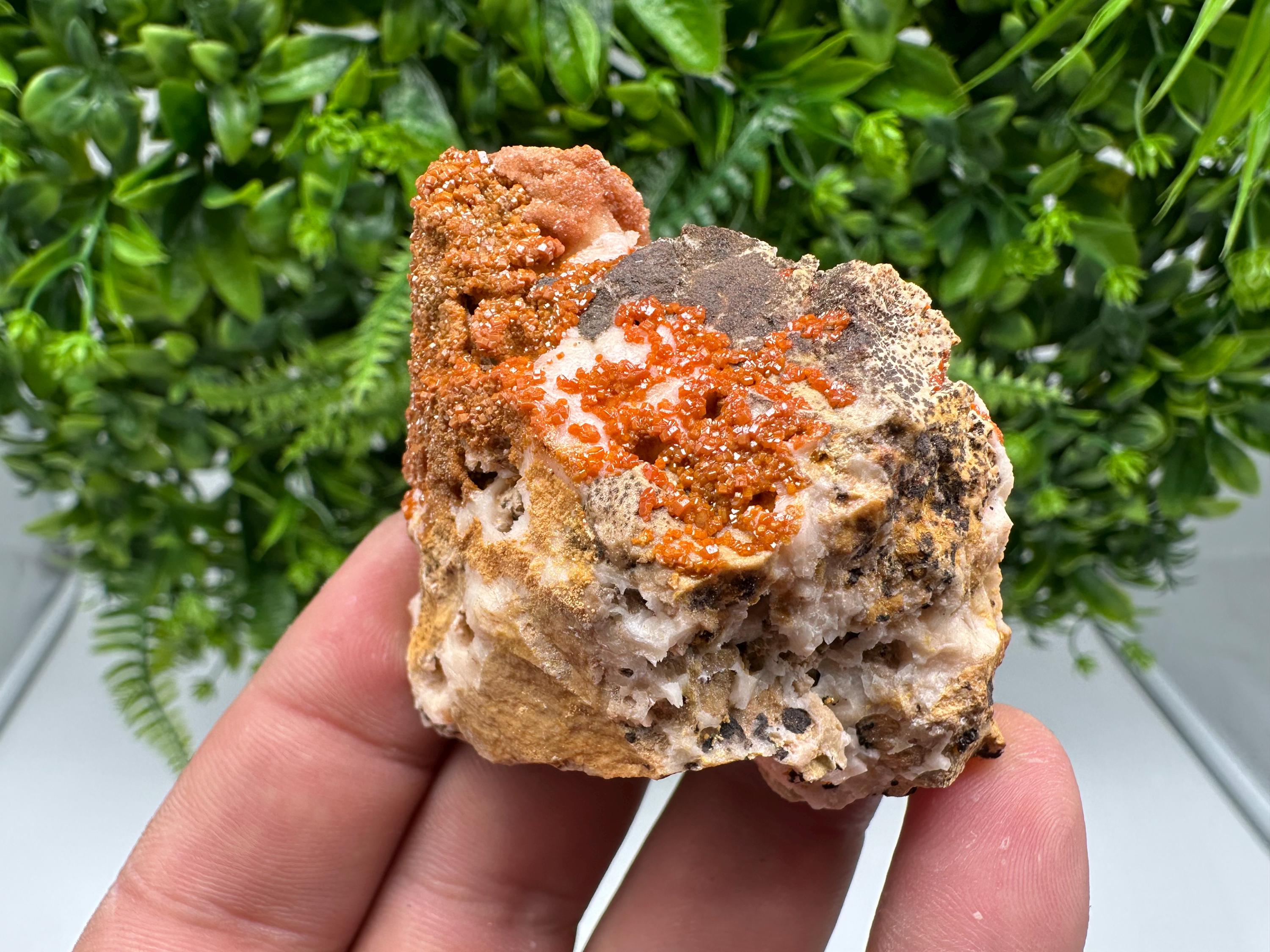 Red Vanadinite on Barite from Marocco,crystal minerals Speciment cluster Vanadinite crystal Vanadinite Geology Vanadinite cluster minerals