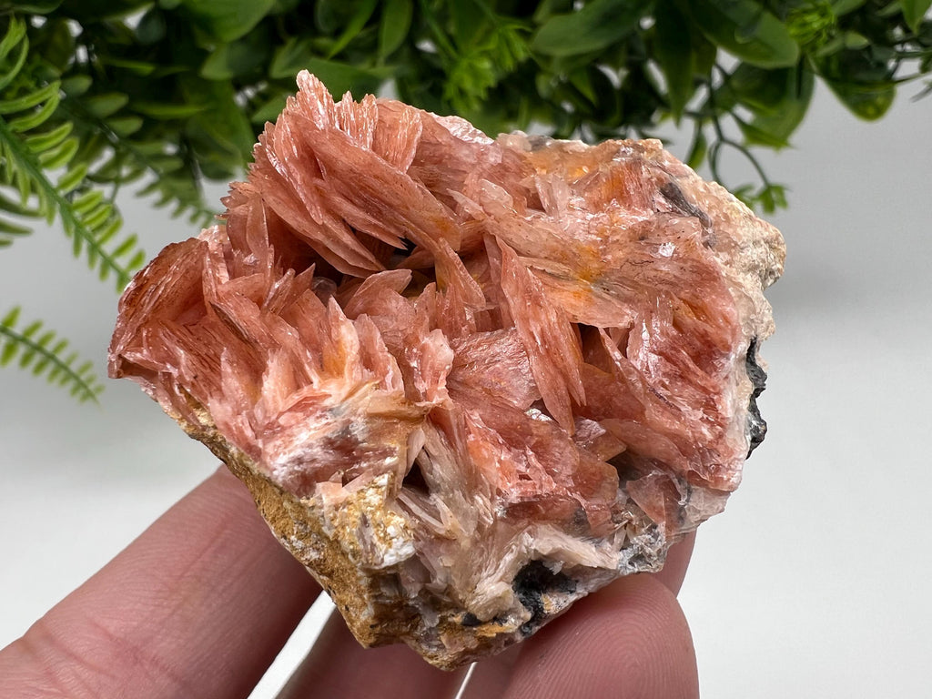 Moroccan Baryte Cluster with Cerussite on Galena