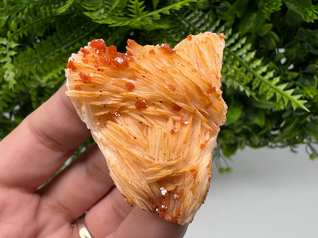 Red Vanadinite on Barite from Marocco,crystal minerals Speciment cluster Vanadinite crystal Vanadinite Geology Vanadinite cluster minerals
