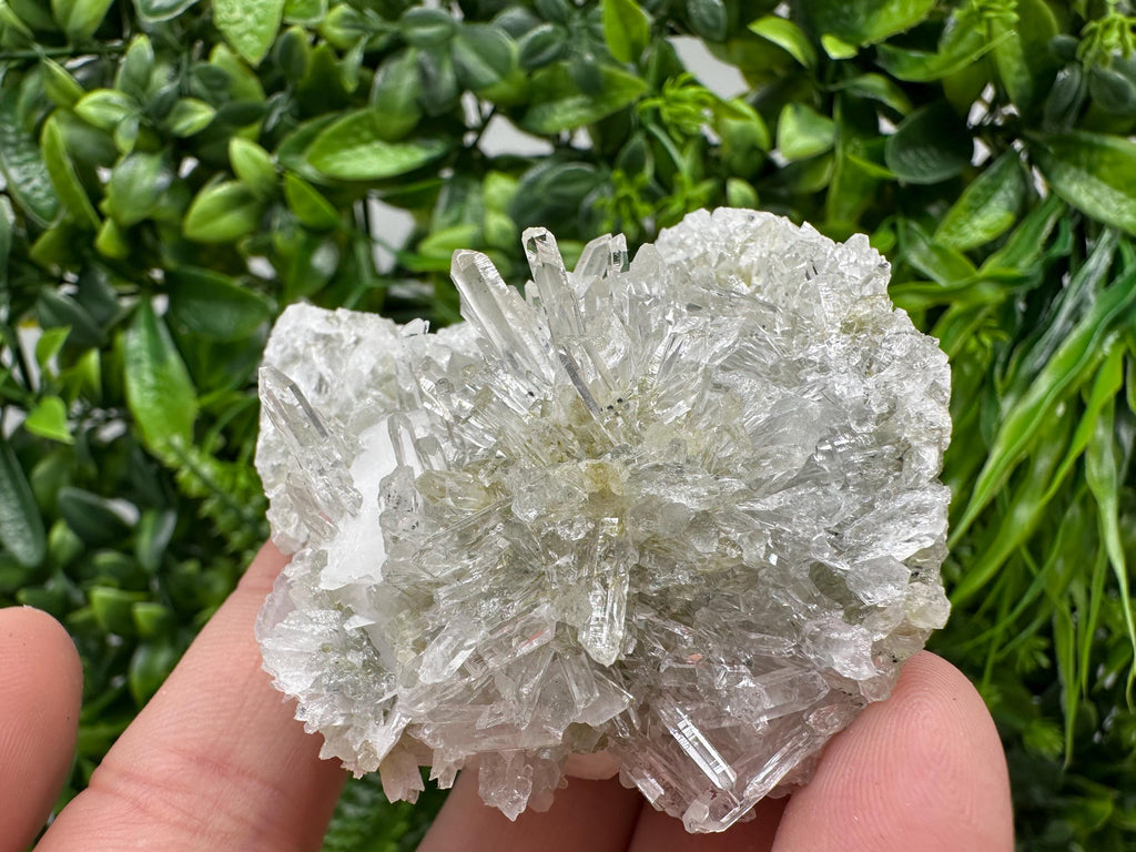 Quartz Calcite on Chlorite Matrix, Rare Mineral Specimen, Bulgaria