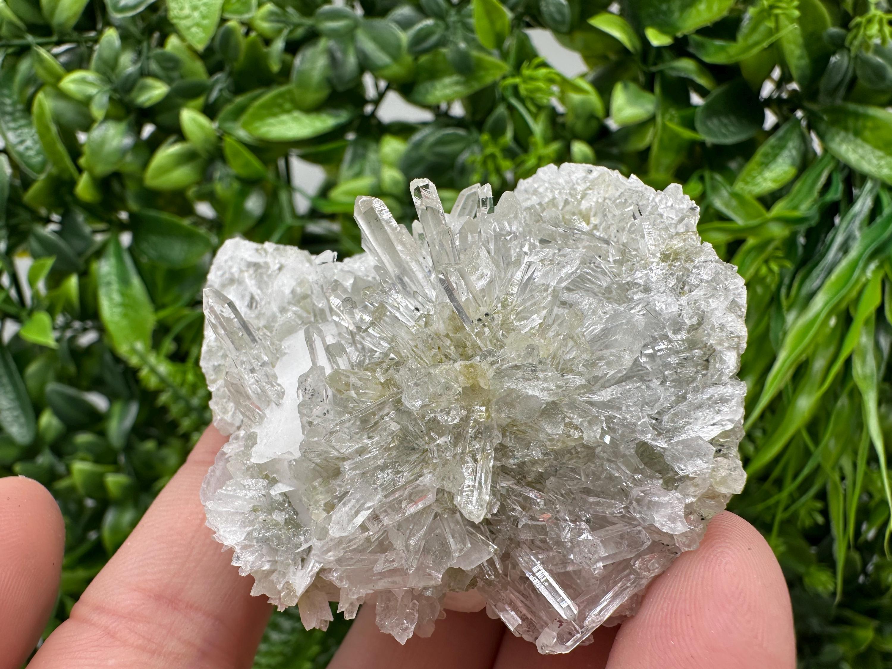 Quartz Calcite on Chlorite Matrix, Rare Mineral Specimen, Bulgaria