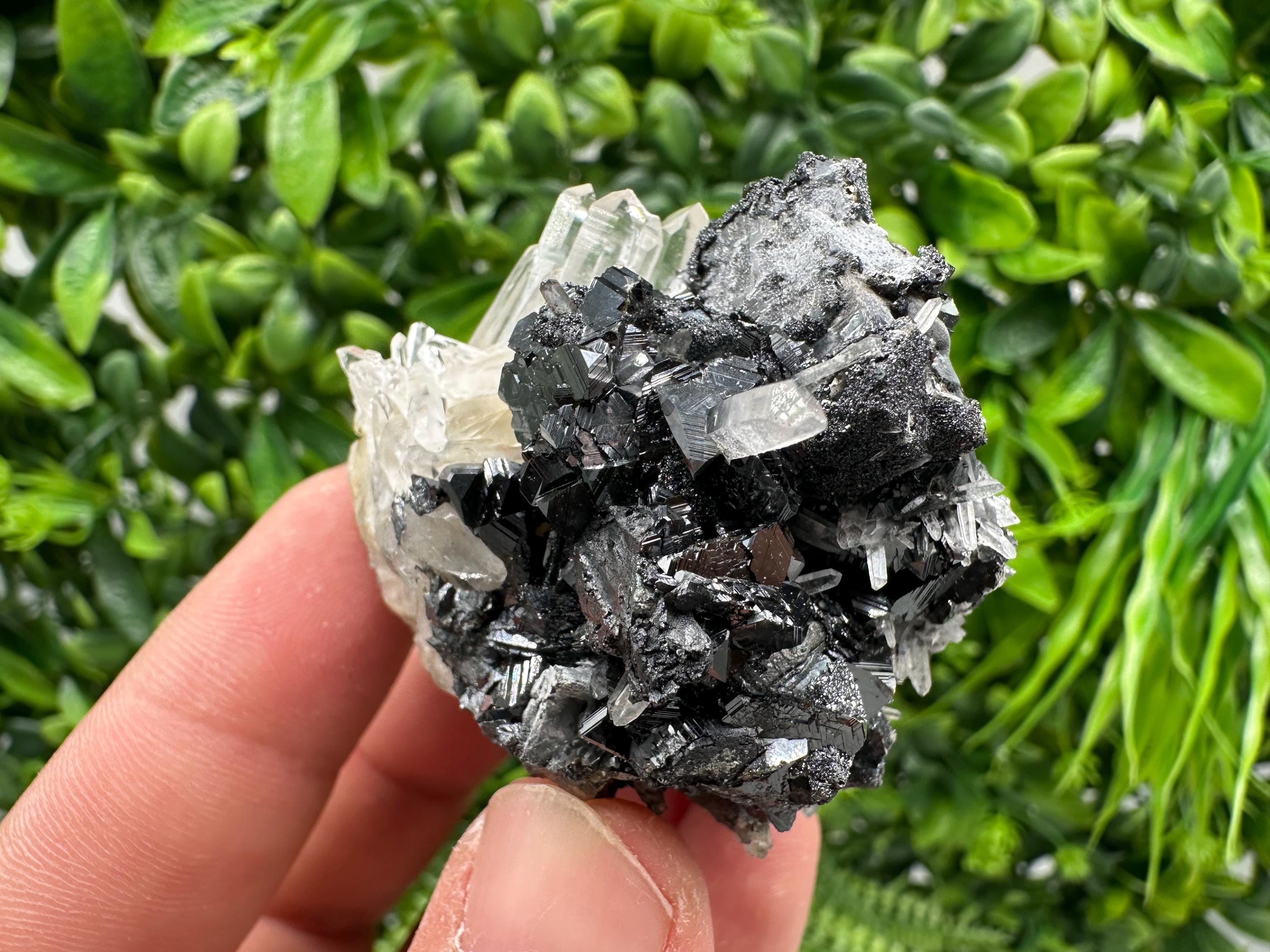 Wonderful Sphalerite Chalcopyrite on  Quartz whit Galena feom 9 th September mine,Bulgaria,natural,collection mineral specimen,gift