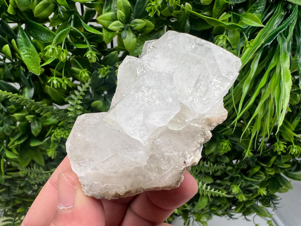 Apophyllite on Chalcedony Specimen: Transparent Crystal, India Minerals
