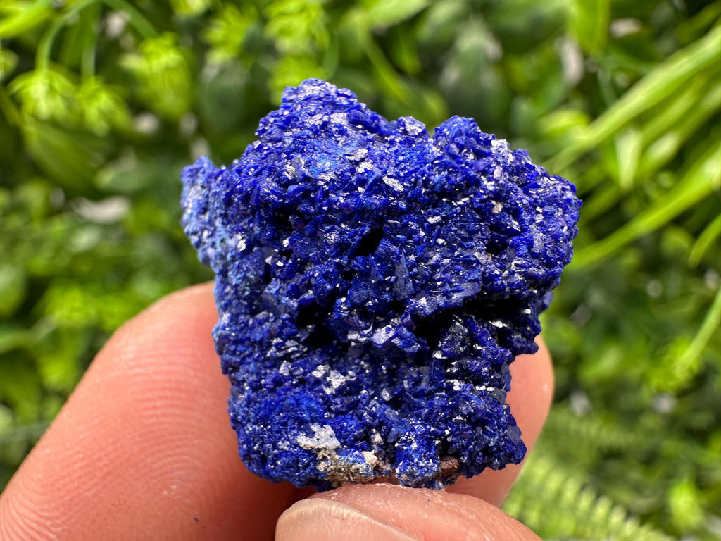 Crystallized Azurite-Kerrouchen,Morocco-Blue Azurite Specimen-High Quality Blue Azurite-Azurite Mineral Specimen, gemmy,lustrous of Azurite