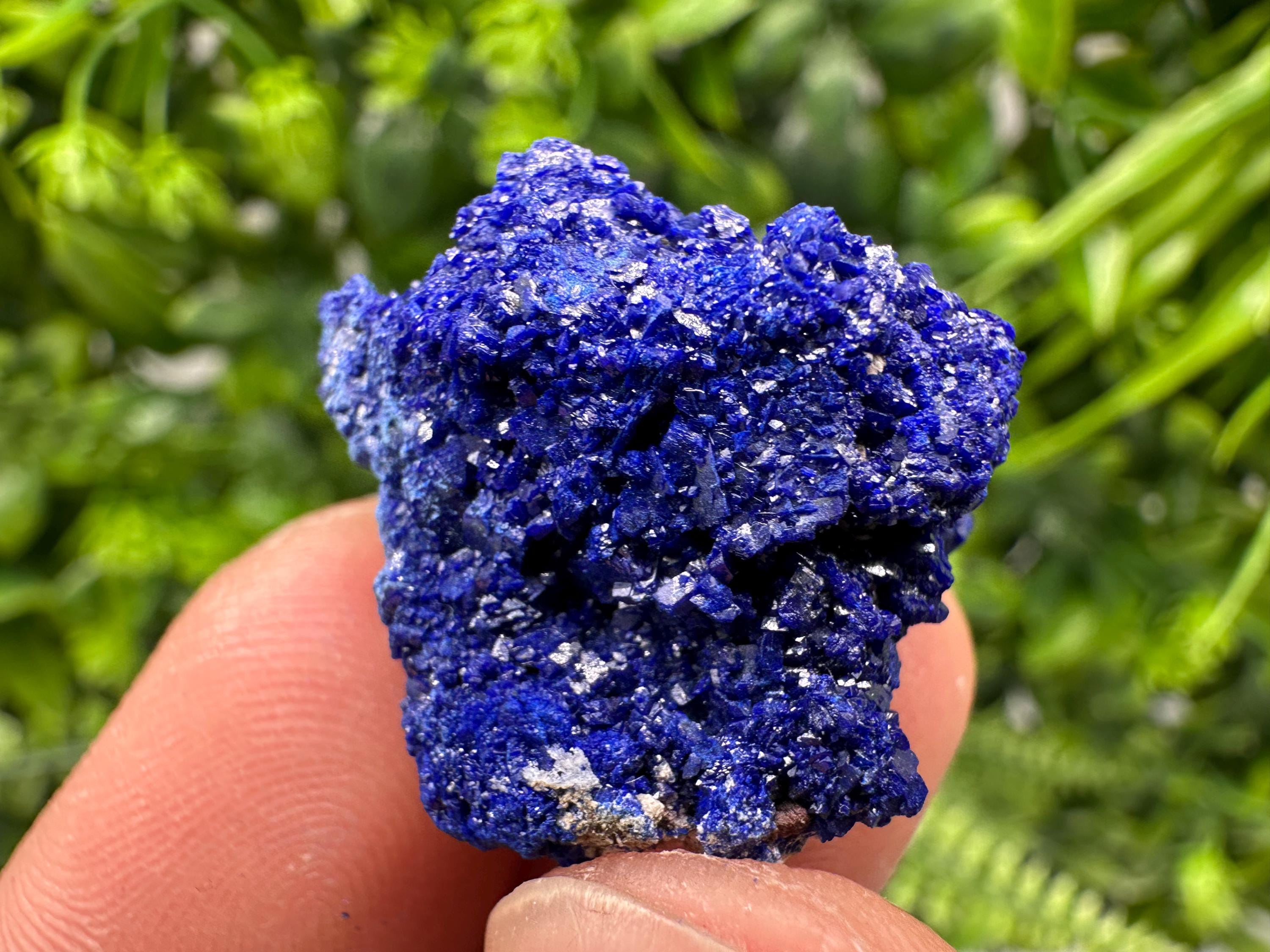 Crystallized Azurite-Kerrouchen,Morocco-Blue Azurite Specimen-High Quality Blue Azurite-Azurite Mineral Specimen, gemmy,lustrous of Azurite