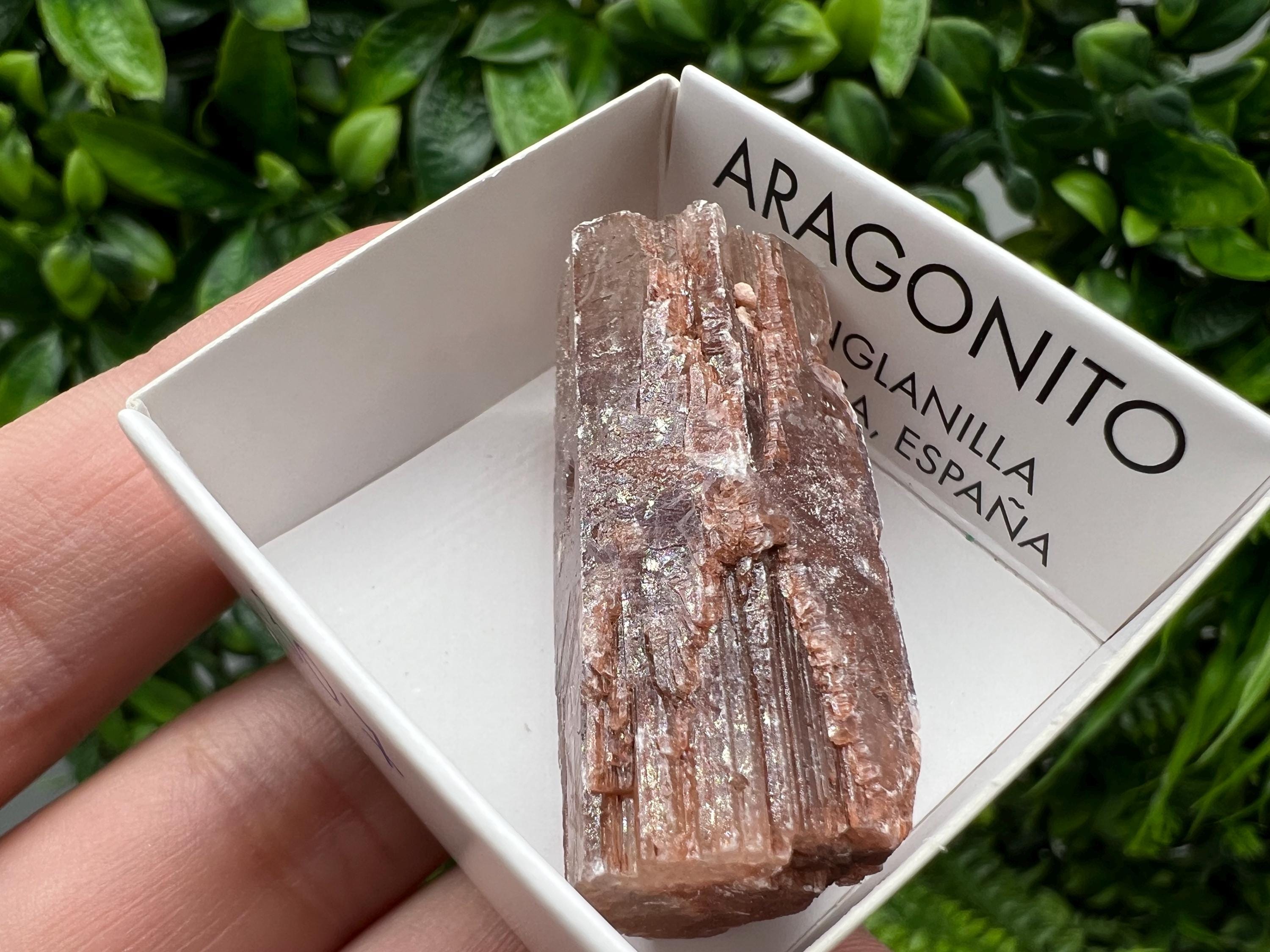 Amazing Aragonite from Spain,Aragonite crystal,cluster,natural,mineral,specimen,Purple Aragonite,Spanish Aragonite,Mineralcollection