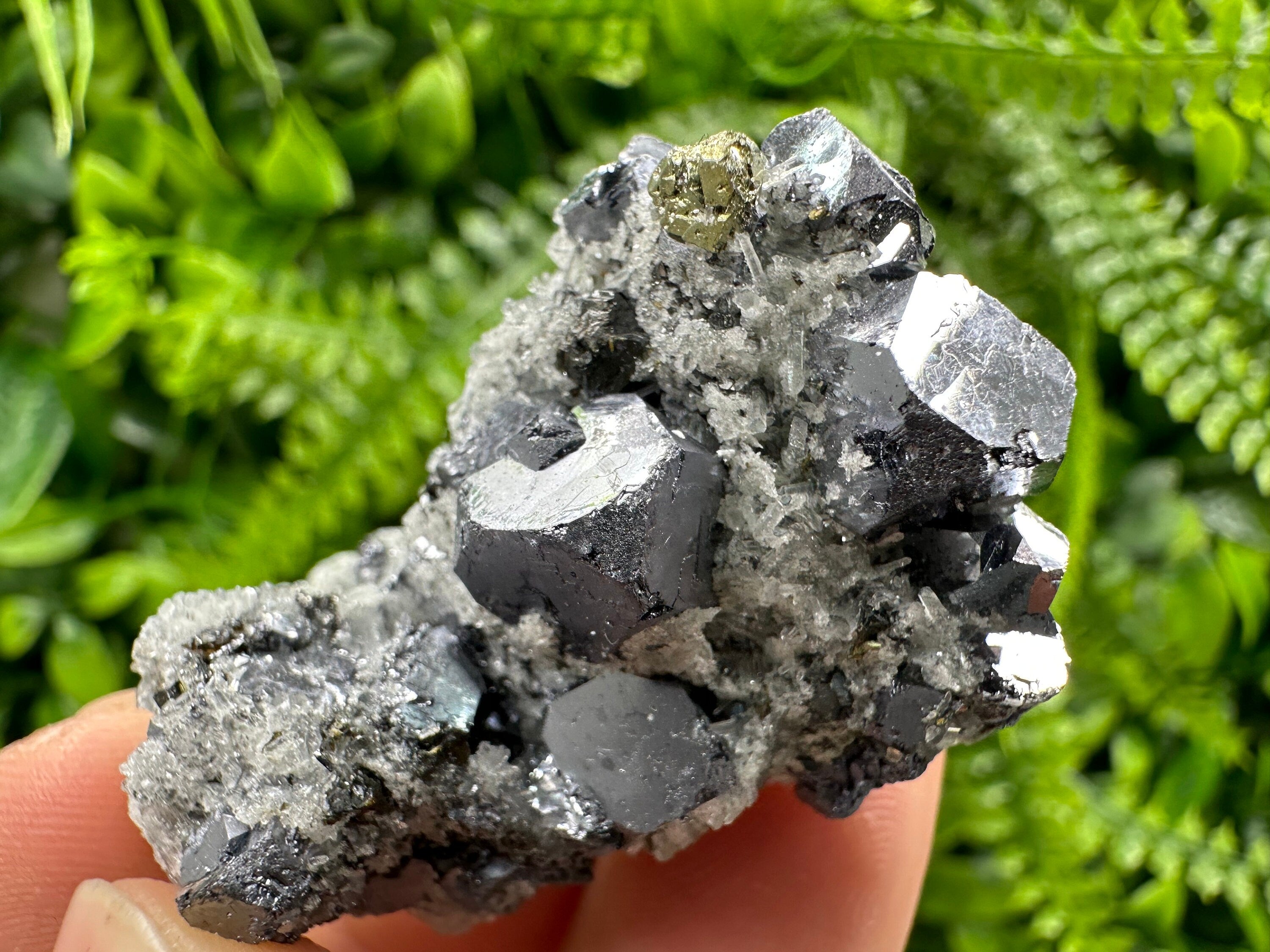 Galena Chalcopyrite on Quartz, Crystal Home Decor, Borieva Mine Bulgaria