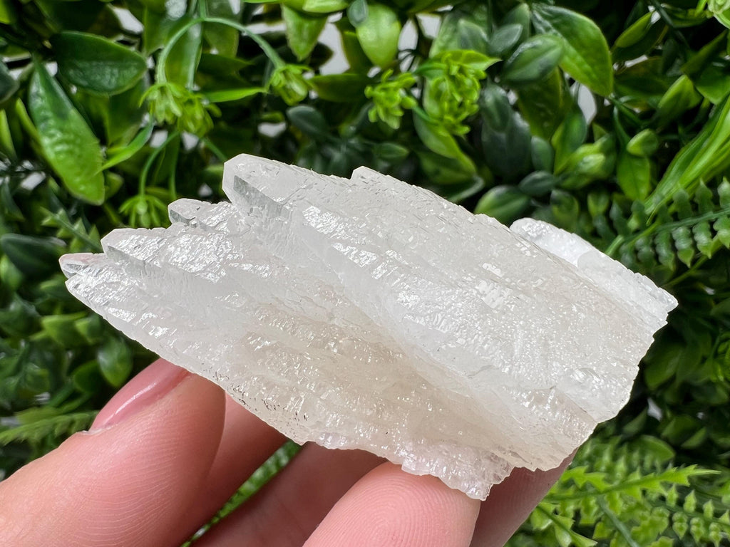 Calcite on Green Quartz: Djurcovo Mine, Bulgaria - Healing Crystal