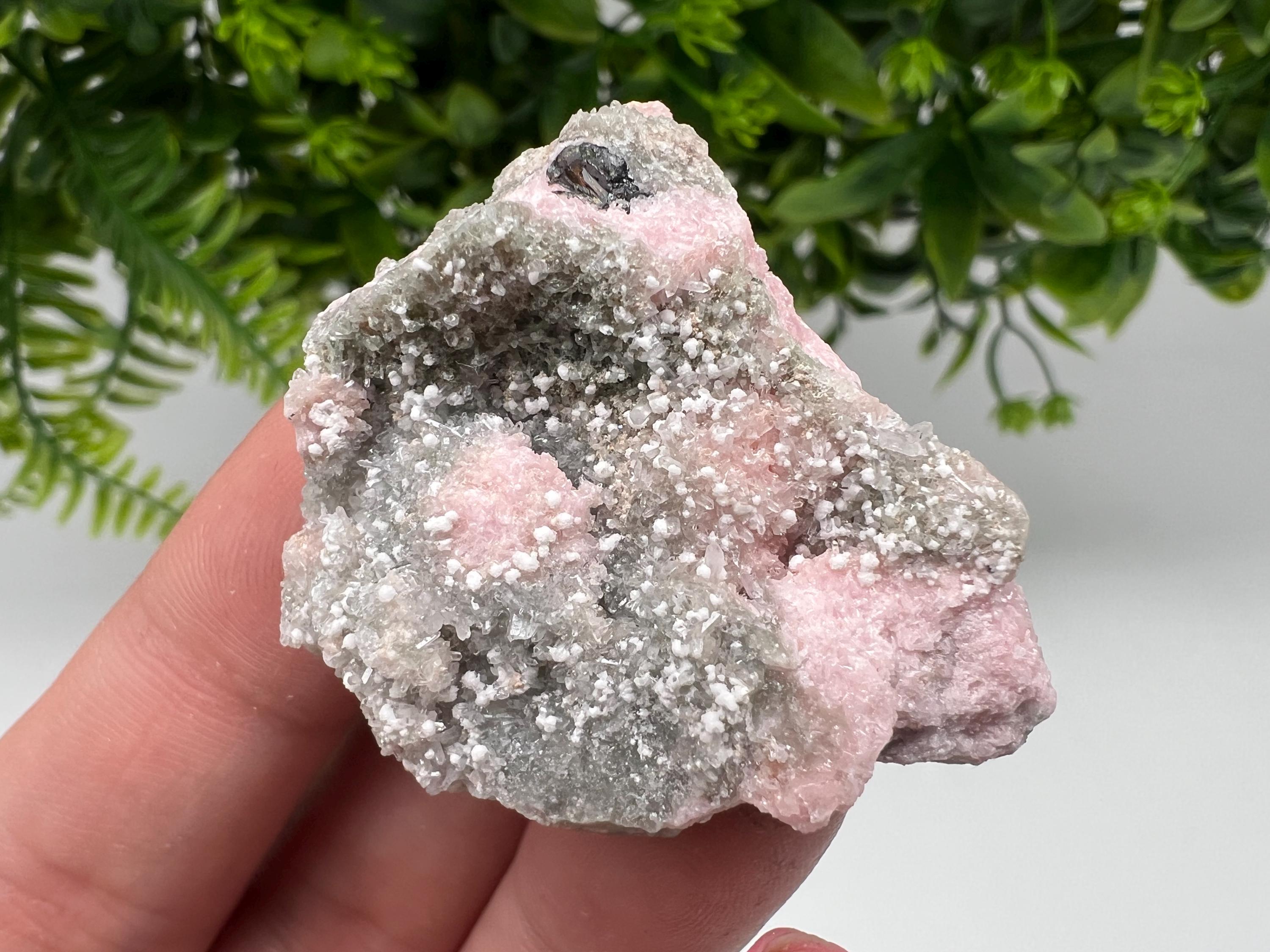 RARE Rhodochrosite with Calcite, Starnica Mine, Bulgaria