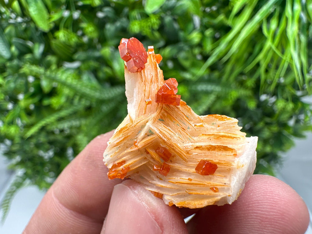 Red Vanadinite on Barite from Marocco,crystal minerals Speciment cluster Vanadinite crystal Vanadinite Geology Vanadinite cluster minerals