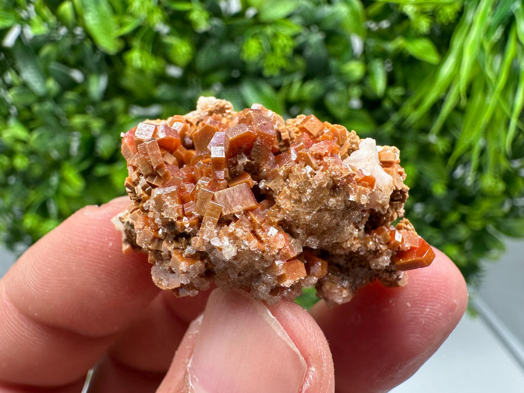 Red Vanadinite on Barite from Marocco,crystal minerals Speciment cluster Vanadinite crystal Vanadinite Geology Vanadinite cluster minerals