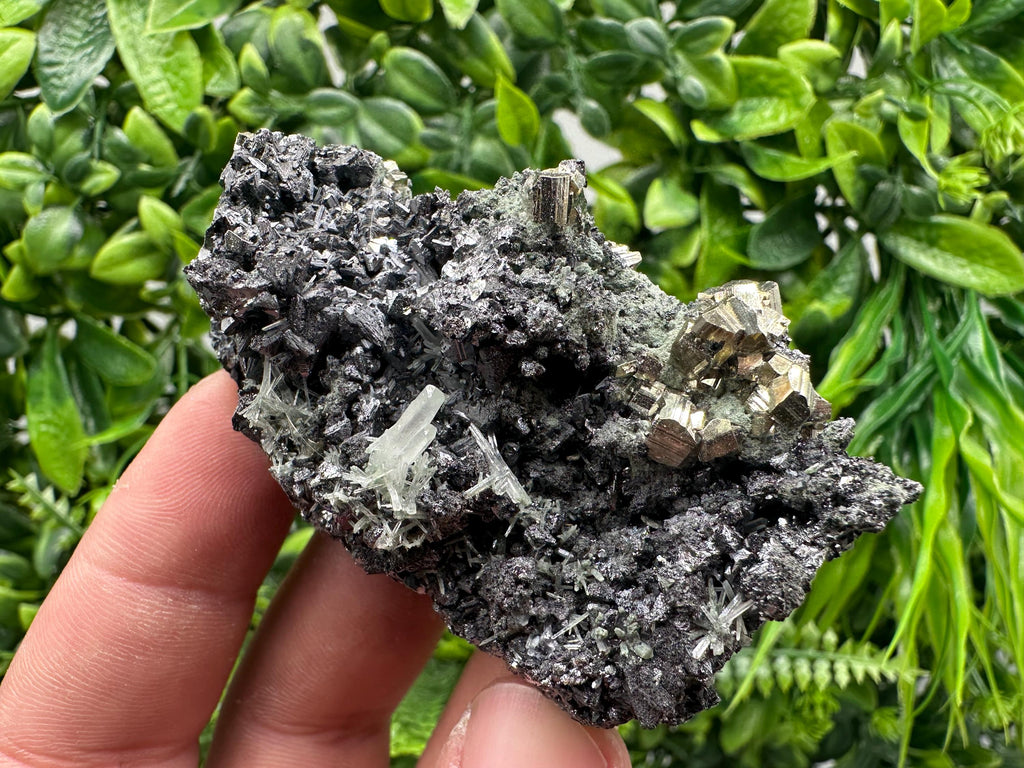 Pyrite on Sphalerite with Quartz, Borieva Mine Mineral Specimen