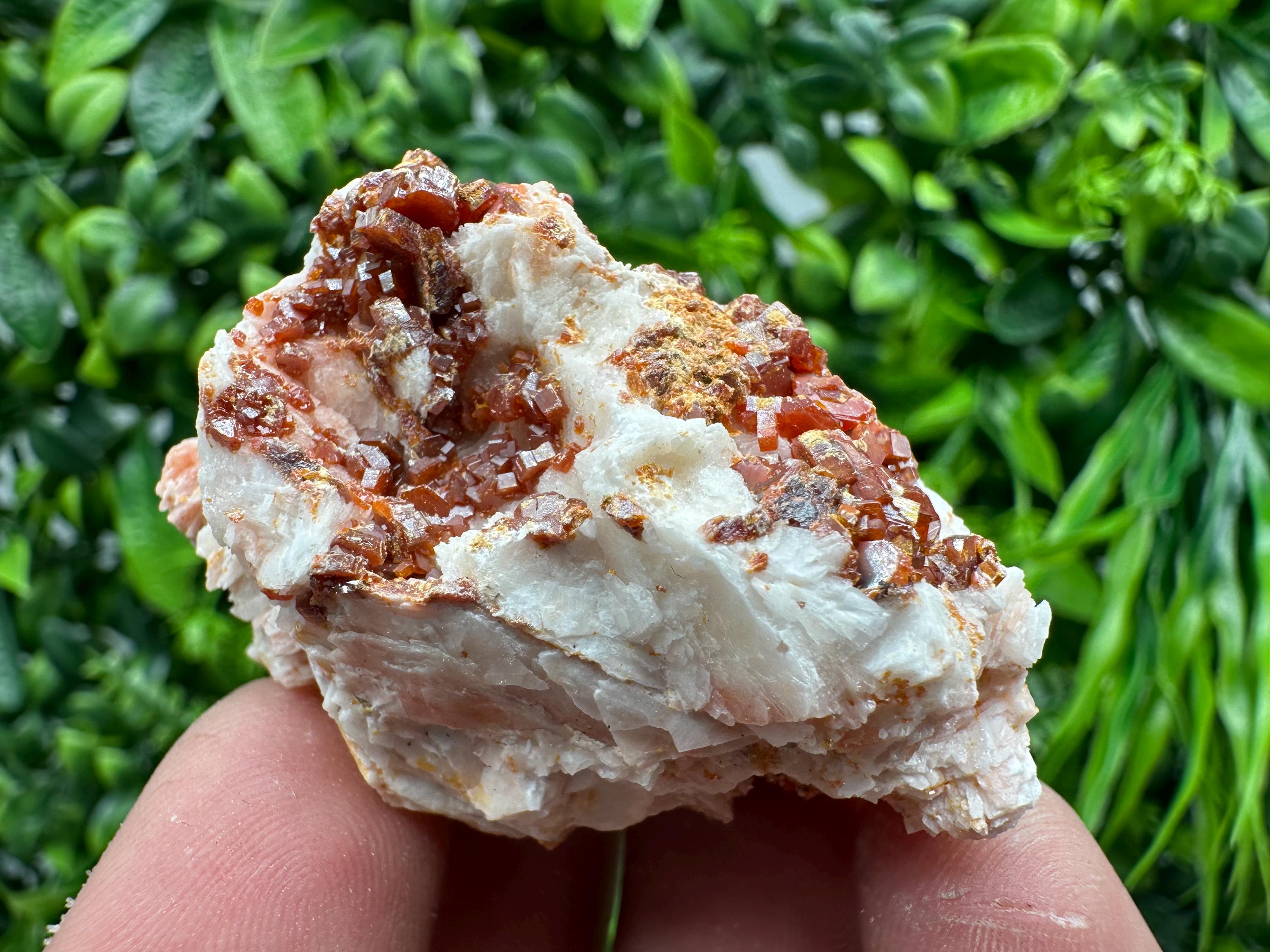 Red Vanadinite on Barite, Morocco Crystal Cluster