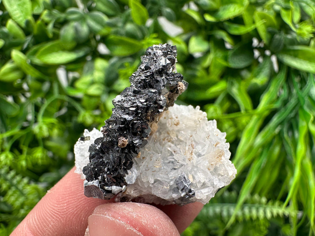 Sphalerite on Green Quartz, Borieva Mine Mineral Specimen