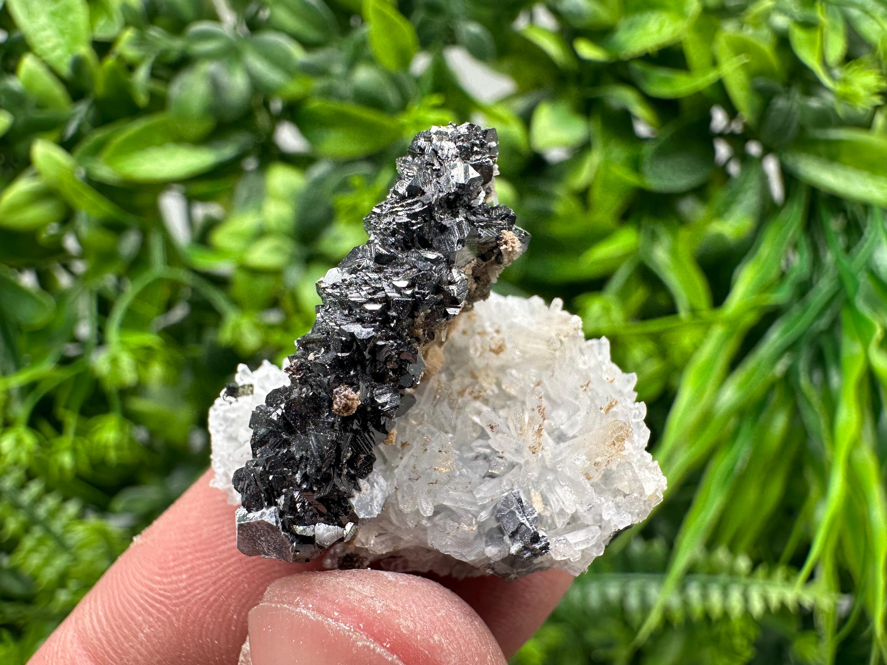 Sphalerite on Green Quartz, Borieva Mine Mineral Specimen
