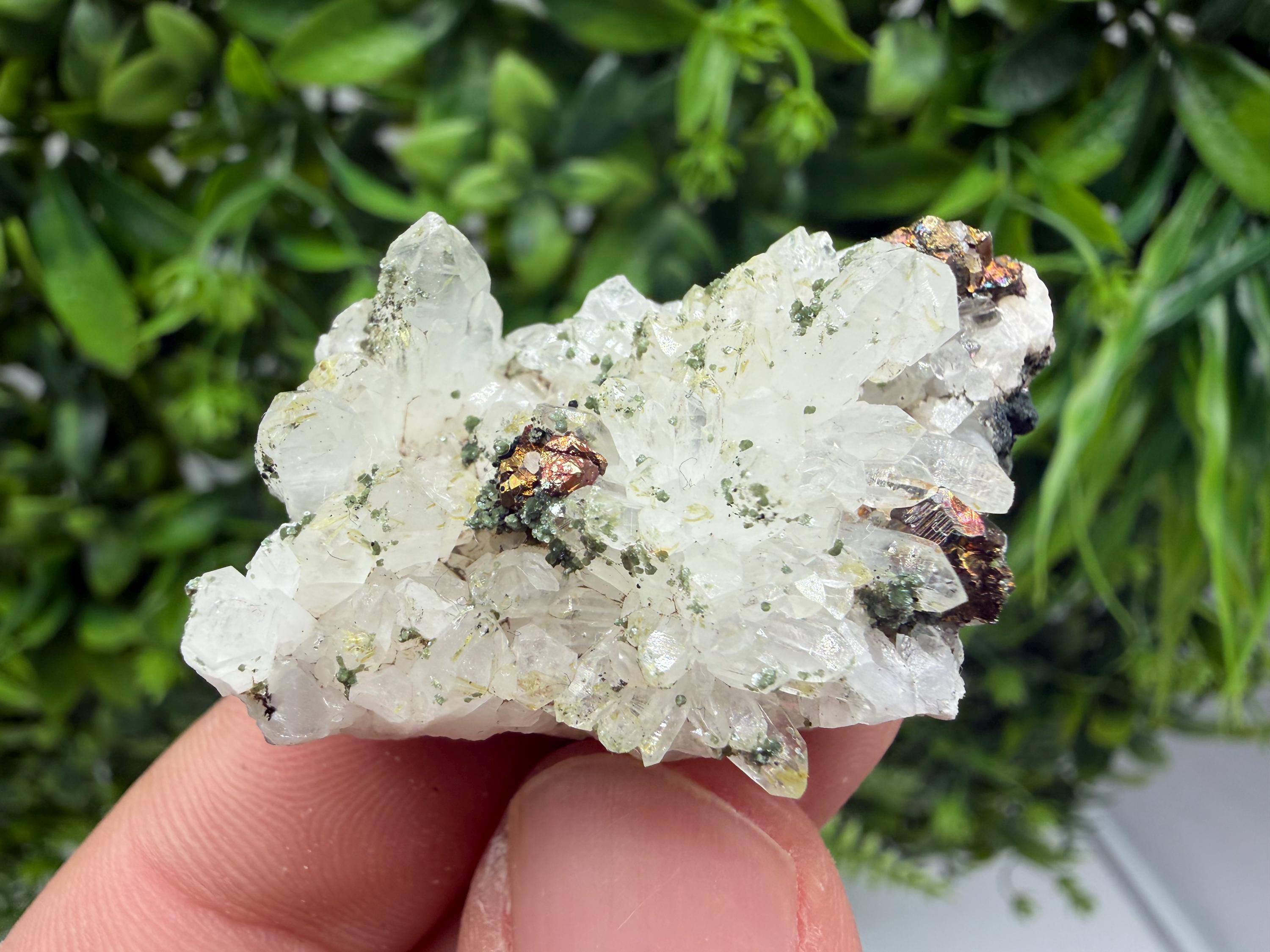 Pyrite Galena on Green Quartz, Chlorite Mineral Specimen, Bulgaria