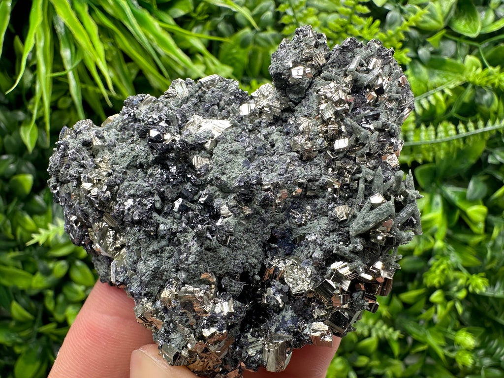 Pyrite Sphalerite on Quartz with Chlorite, Bulgaria Mineral Specimen