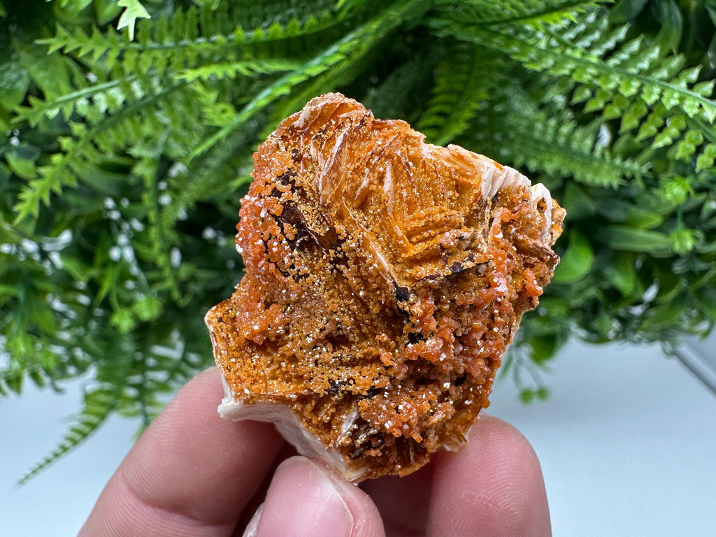 Red Vanadinite on Barite, Morocco Crystal Specimen