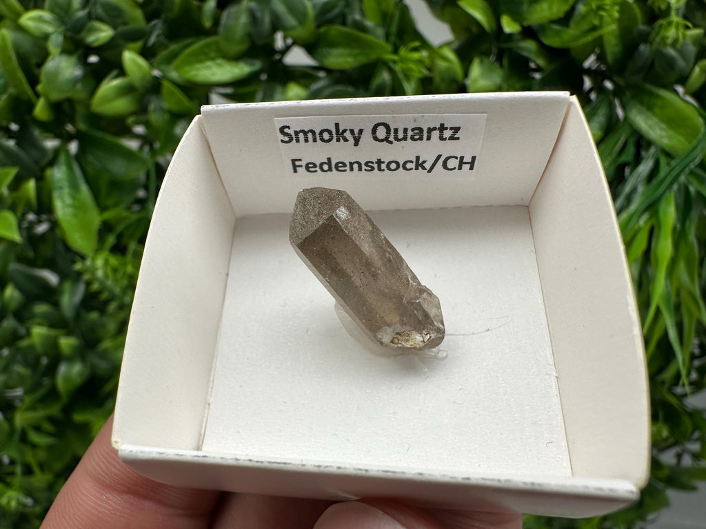 Rare Smoky Quartz Point, Fedenstock Switzerland Mineral Specimen