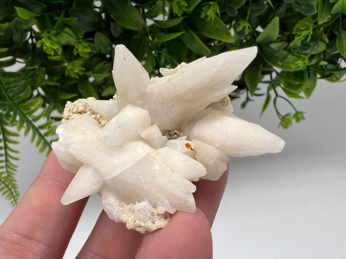 Calcite on Green Quartz: Djurcovo Mine, Bulgaria Healing Crystal