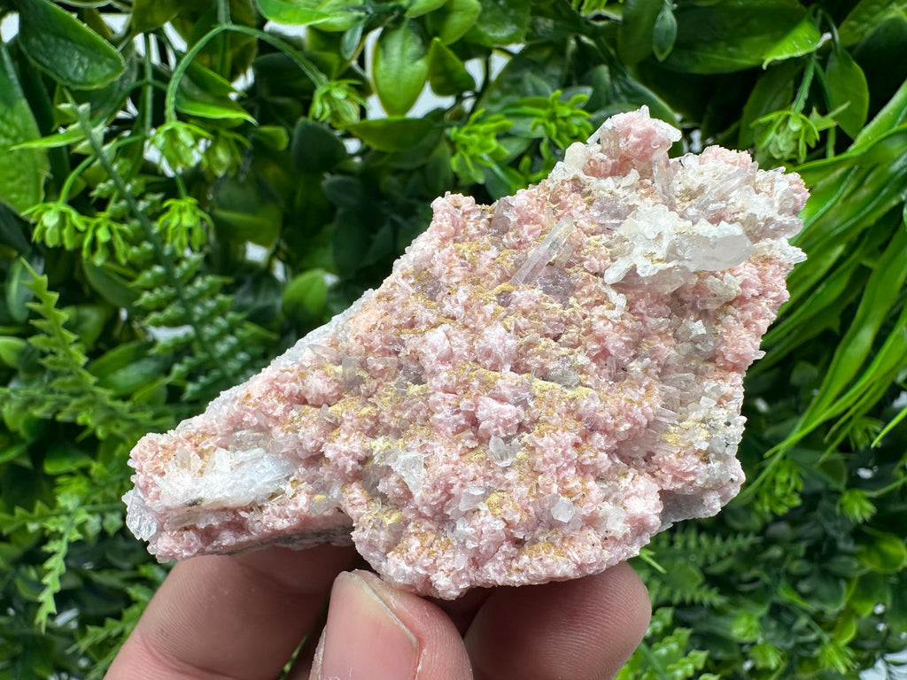 Rhodochrosite on Quartz: Pink Crystal Home Decor, Bulgaria Mineral Souvenir