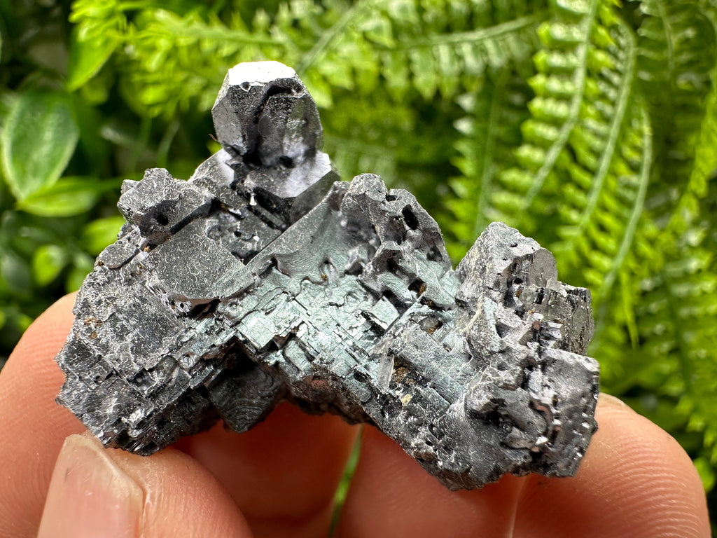 Skeleton Galena Cluster, Rare Morphology Crystal, 9th September Mine Bulgaria