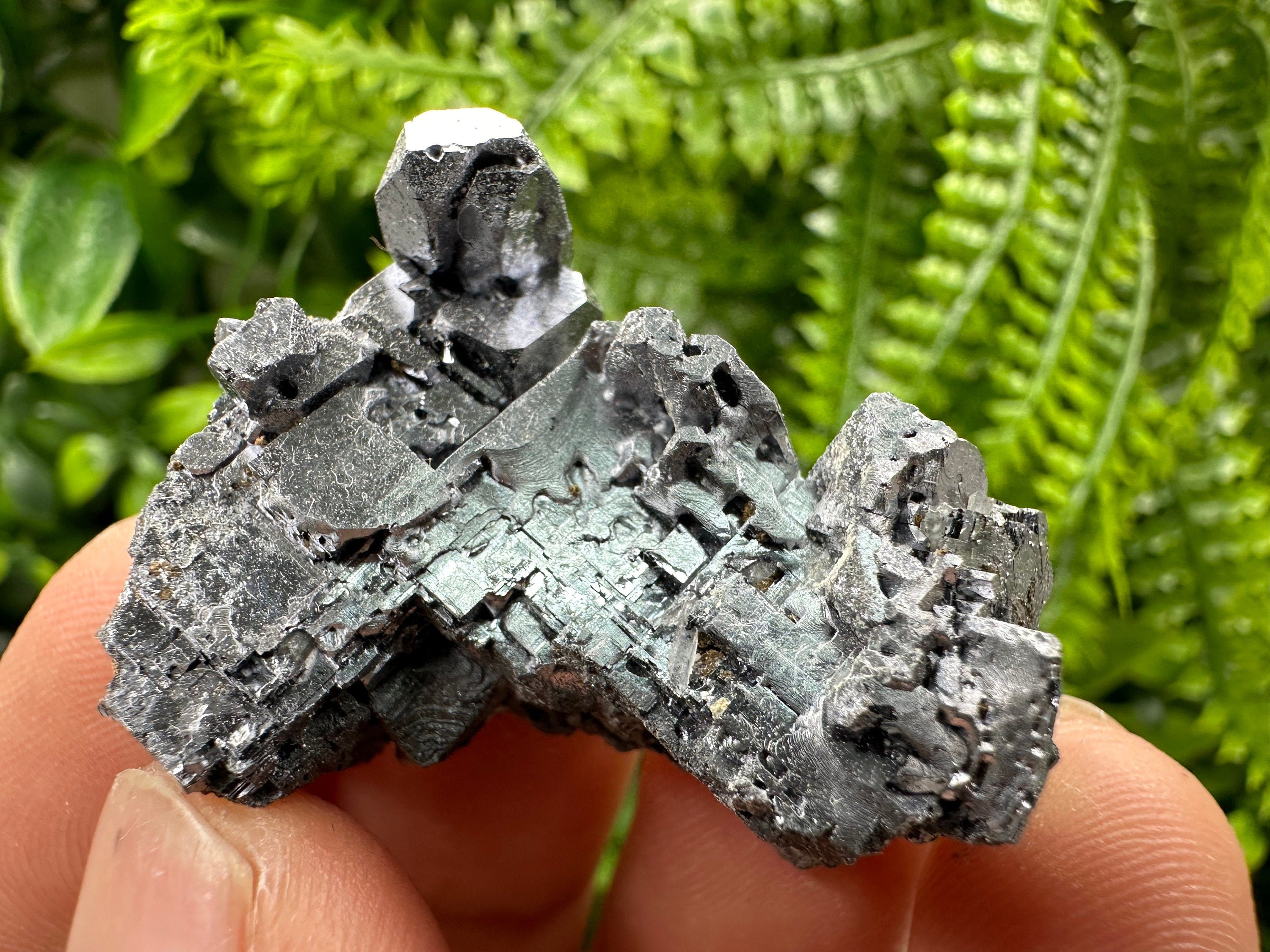 Skeleton Galena Cluster, Rare Morphology Crystal, 9th September Mine Bulgaria