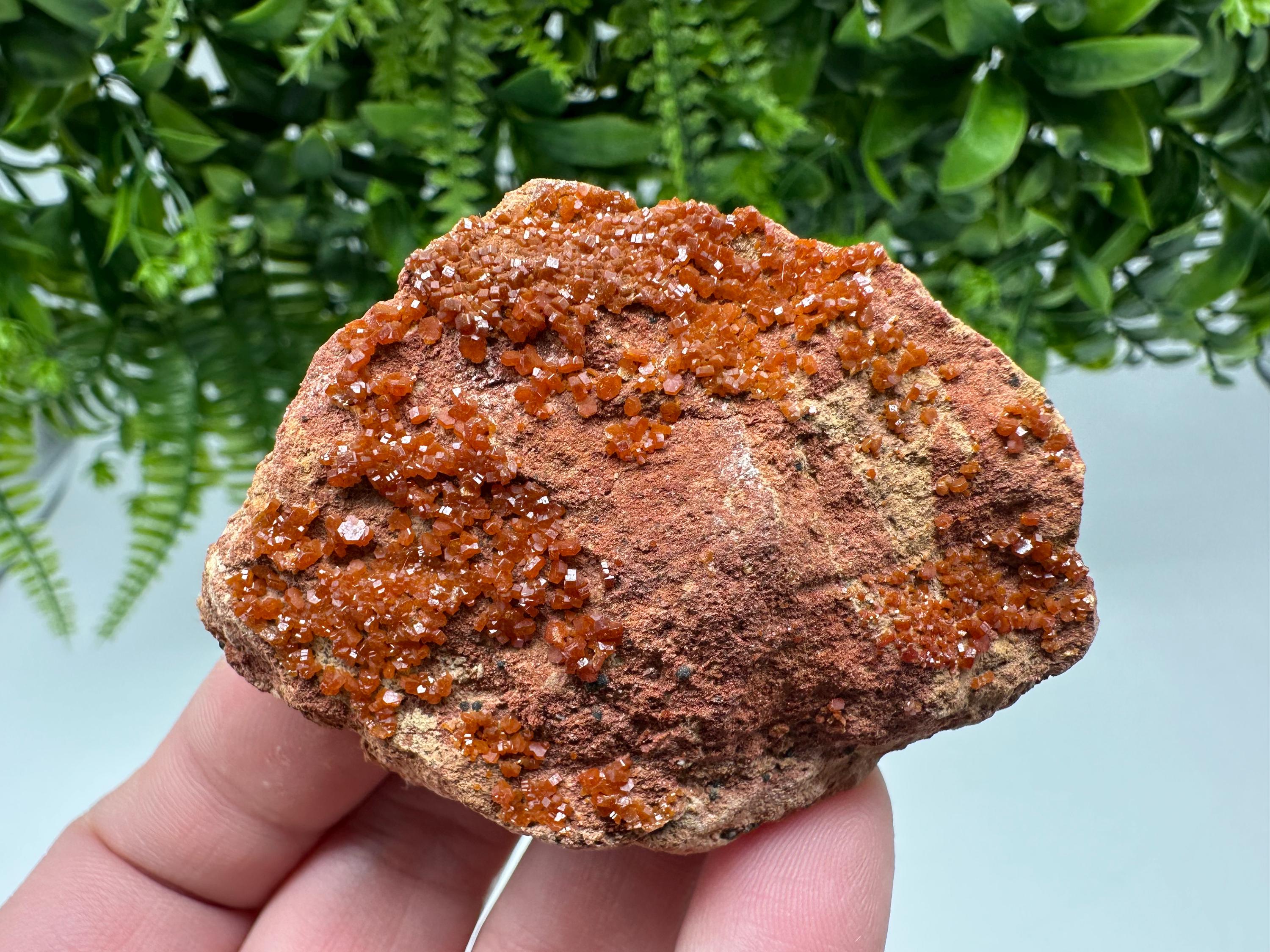 Red Vanadinite on Matrix from Marocco,crystal minerals Speciment cluster Vanadinite crystal Vanadinite Geology Vanadinite cluster minerals