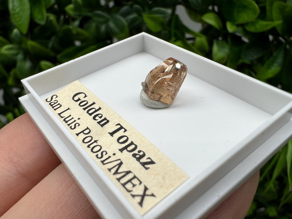 Golden Topaz Crystal, Mexico Mineral Specimen, Collectible
