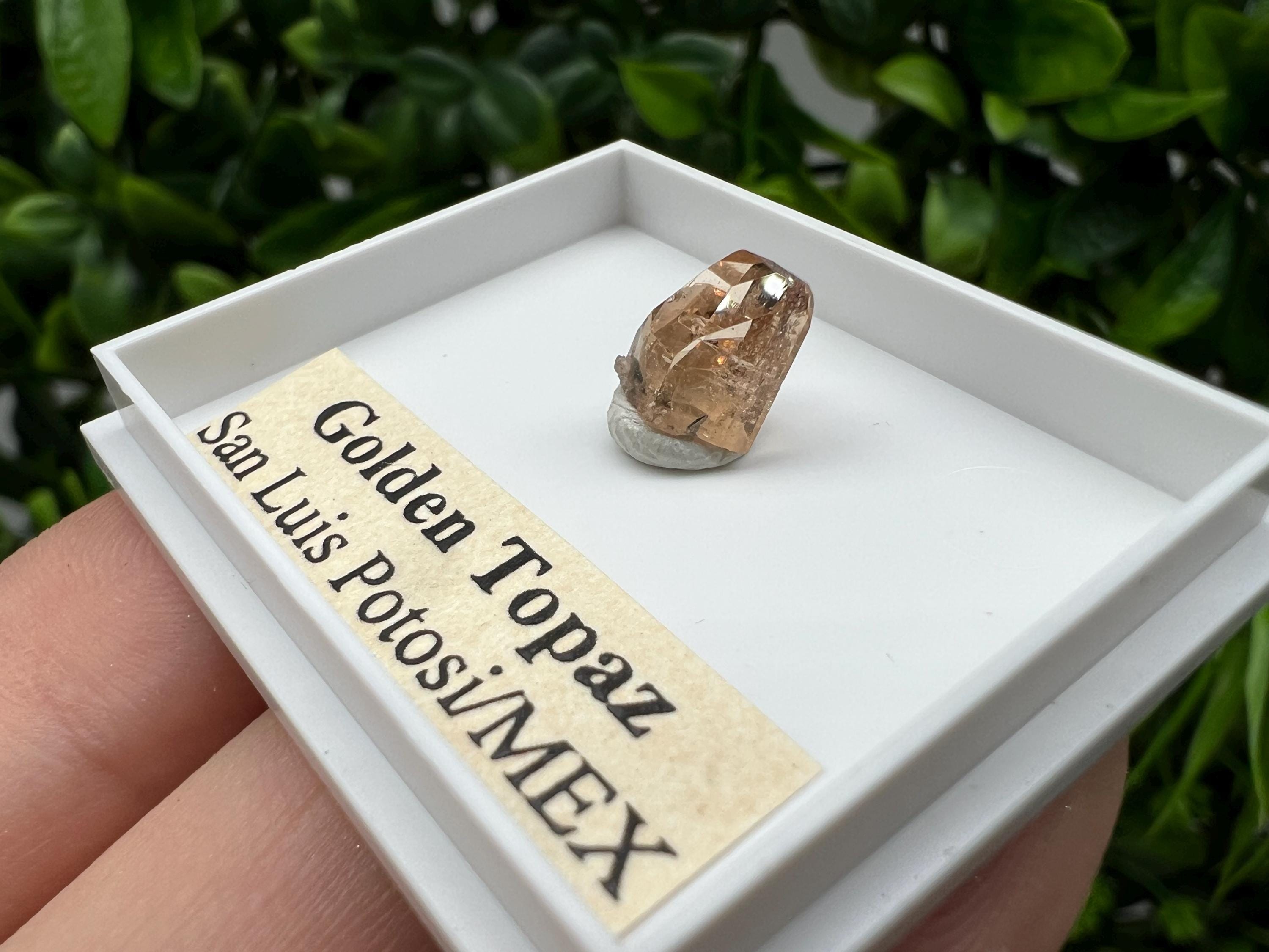 Golden Topaz Crystal, Mexico Mineral Specimen, Collectible