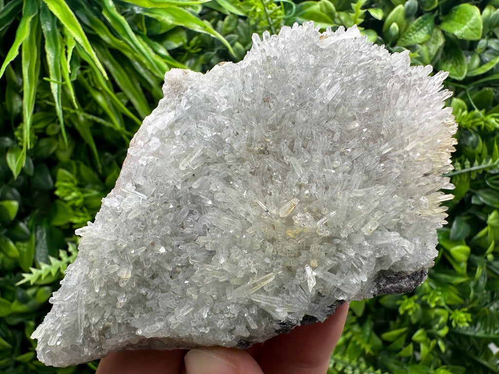 Chlorite Quartz Crystal with Hematite Inclusions - Borieva Mine Bulgaria